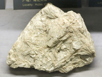 ����͸��ʯ