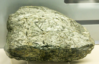 ����Ƭ��