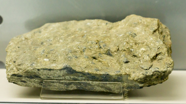 ����������ĸƬ��