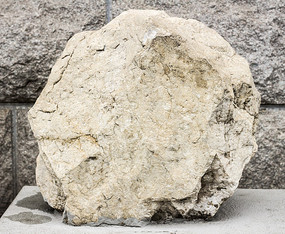 þʯ