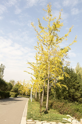 ·������