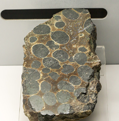 ���ɹŸ�����