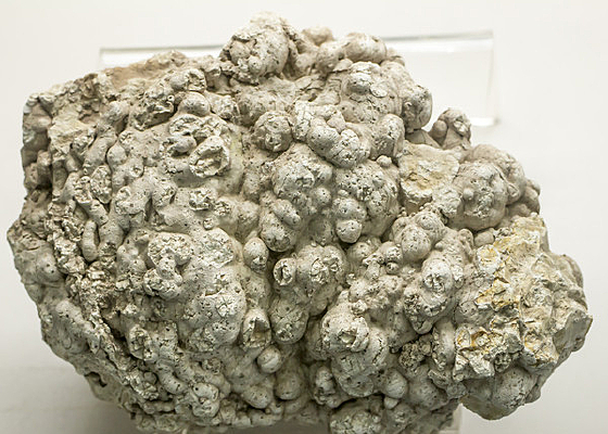 ����״������