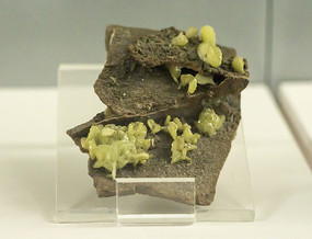 ����пʯ��