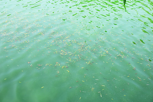 ΢�����Ե�ˮ��