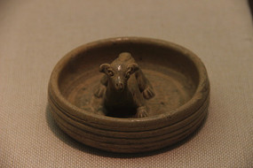 ������ɹ�Ȧ