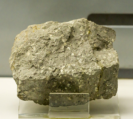 ����״�ְ���