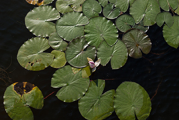 �����˯��