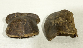 ������ͷ�ǹǻ�ʯ