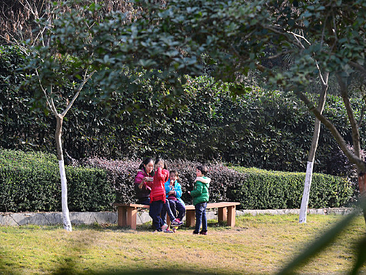 �㳡��ƺ�ߵĺ���