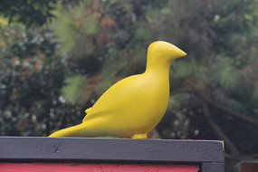 Ƹ