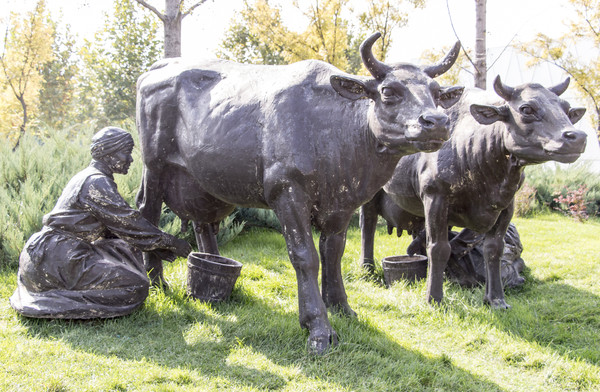 ��ţ����������