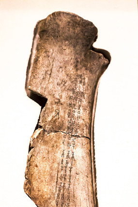 �̸�֧��ţ��