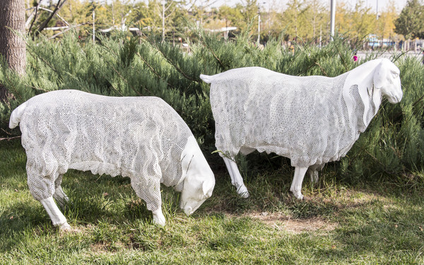 �ο�ɽ������