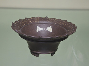 ��������