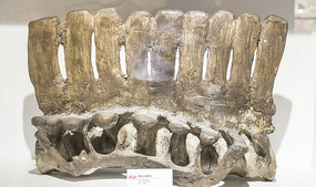 ��������׵��ʯ