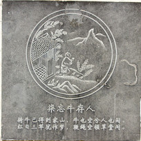 �����������ţ����