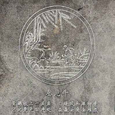 �����������ţ