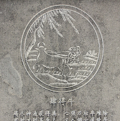 �����������ţ