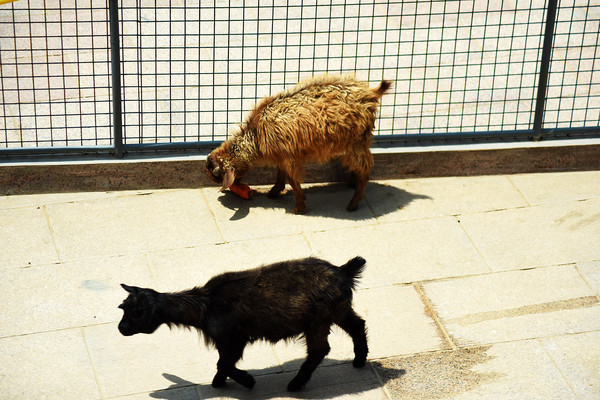 �������