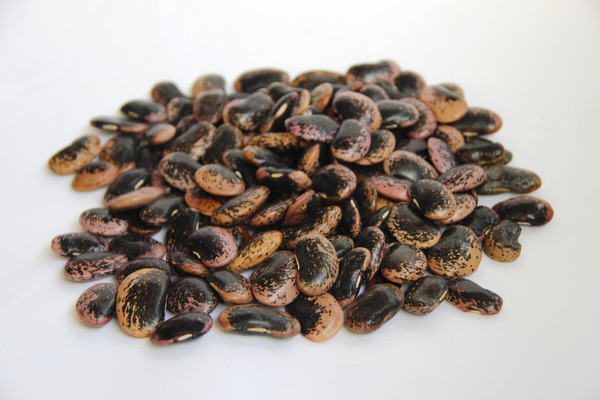 ������ڶ�