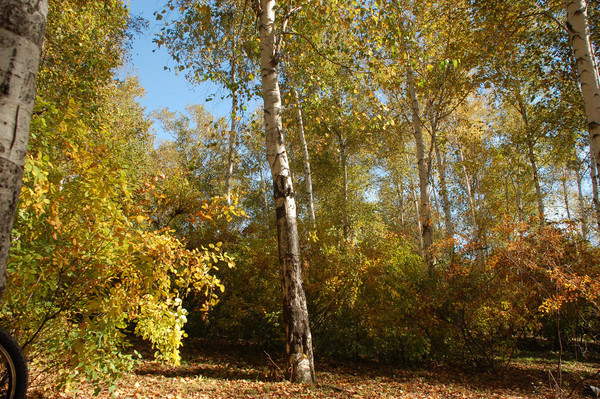 �Ϻ�����