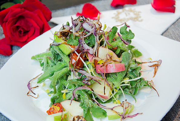 �������