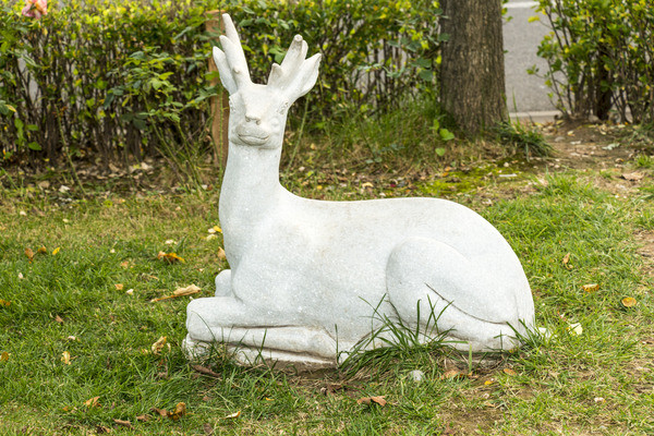 ��¹����