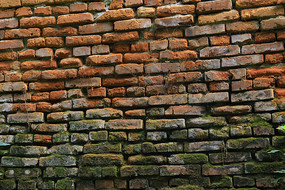 ��ʴ���ص�ǽ