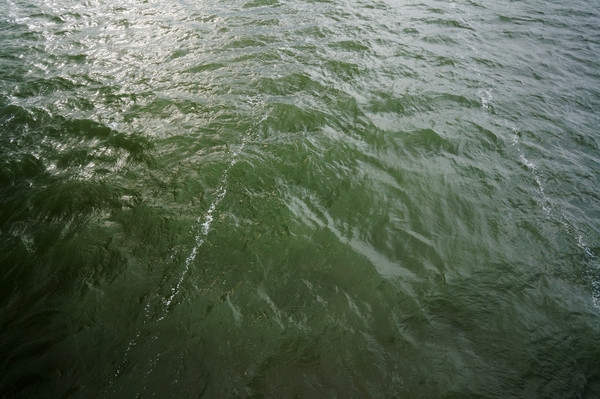 ˮ������