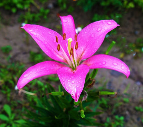 һ���춥�컨������Ӱͼ