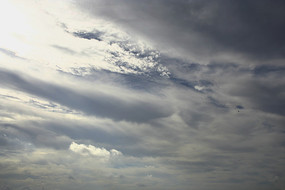 �Ʋ�����