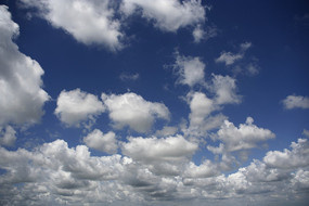 �Ƶ�����