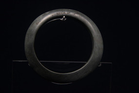 Ļʯ
