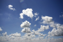 տ����ն����