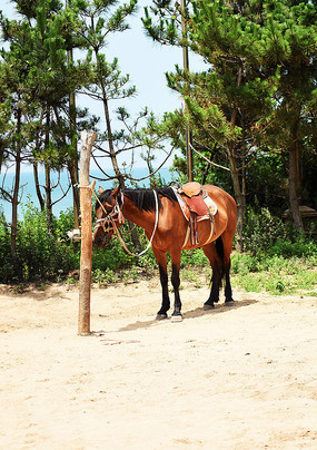 ׼�����ݵ���