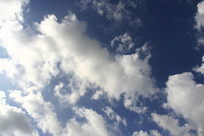 ��ɫ�ƶ���ɫ��