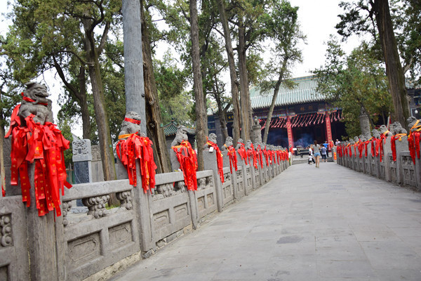 ������˿����ʯʨ��