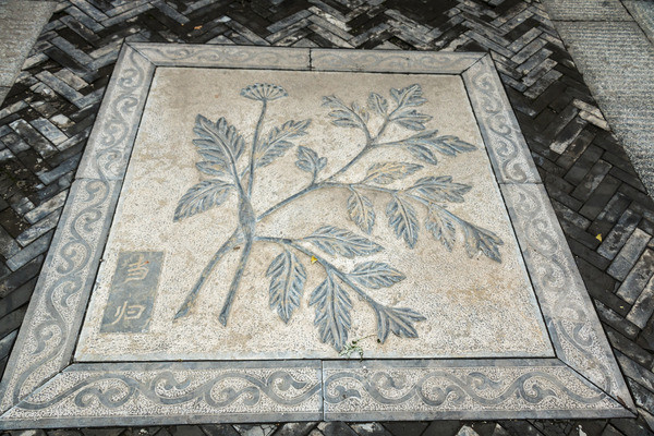 �����ש����