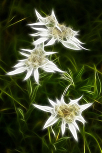 ���Ի�����ɫɽ����