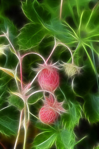 ���Ի���������ݮ��