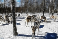 ���Ի�������ѱ¹��