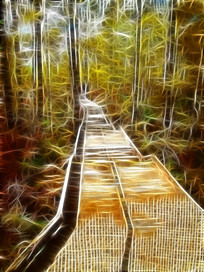 ���Ի���ɭ��ջ����