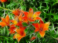 ���Ի���Ұ�ٺϡ�