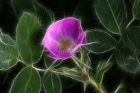 ���Ի���Ұõ�塷