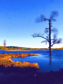 ����ˮ�ʻ���������