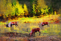 �����ͻ����ּ�ѱ¹��