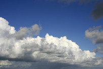 ��װ���Ʈ��