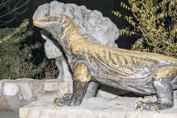 �������