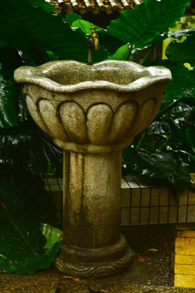 ����ϴ�ֳ�ͼƬ